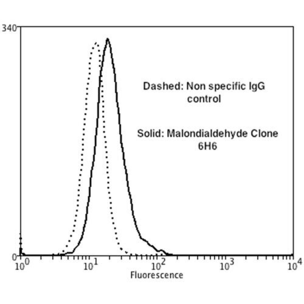 Anti-Malondialdehyde Antibody [6H6]