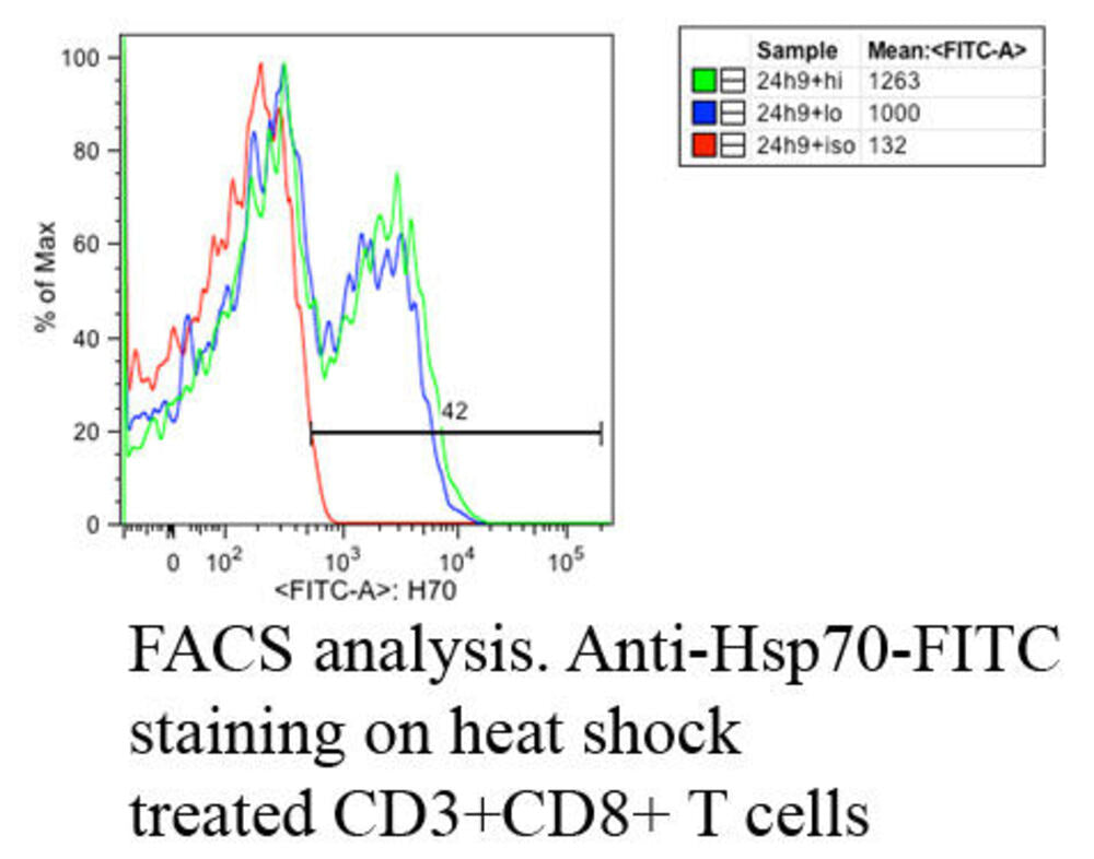 Anti-HSP70 Antibody [C92F3A-5]
