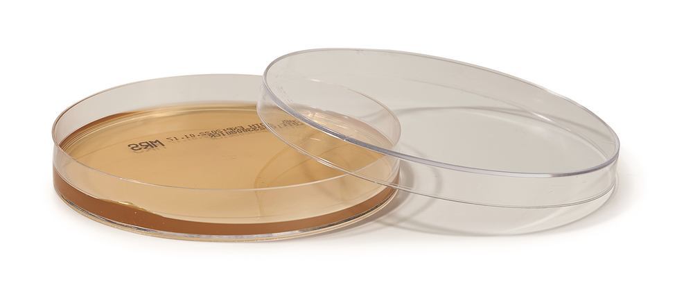ROTI®Plate90 MRS, EN ISO 11133, for microbiology, 10 unit(s), box - Luminix Health