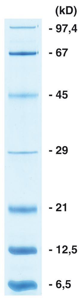 Image of ROTI Mark SMALL-KOMBI ready-to-use