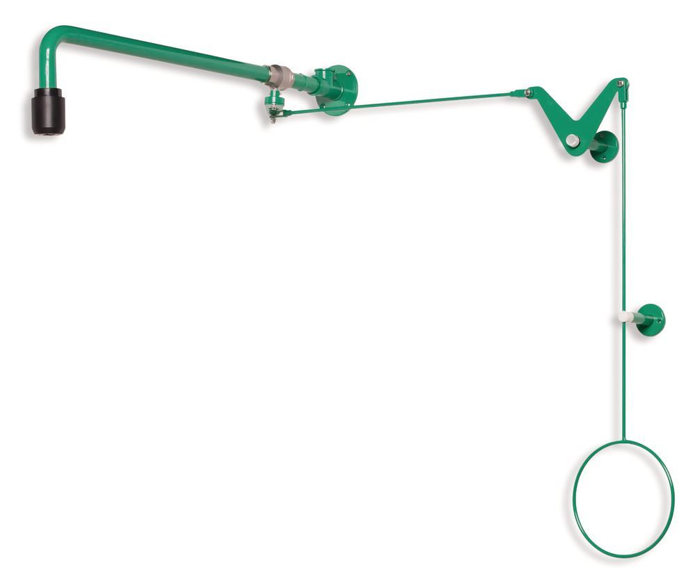 Image of Body shower for over-door mounting