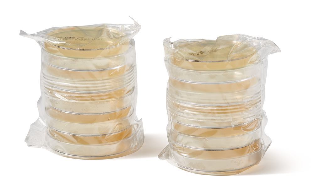 ROTI®Aquatest Plate TSC, ISO 7937, ISO 11133, ISO 14189, ready-to-use - Luminix Health