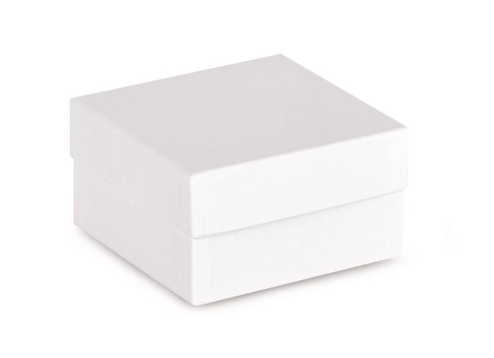 ROTILABO® cardboard cryo boxes, white, Water-repellant, L 133 x W 133 x H 50 mm - Luminix Health