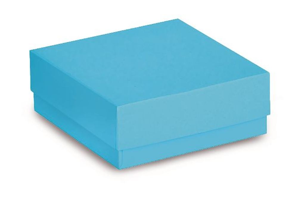 ROTILABO® cardboard cryo boxes, blue, Waterproof, L 133 x W 133 x H 50 mm - Luminix Health