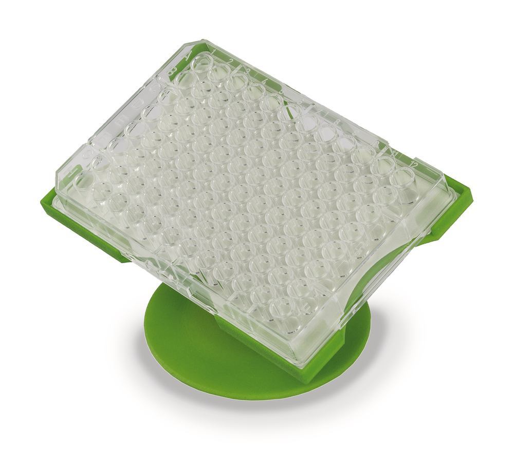 SmartStand, for microtiter plates, 1 unit(s) - Luminix Health