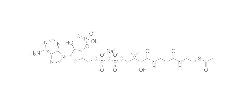 Acetyl Coenzyme A, sodium salt, min. 95%, 10 mg