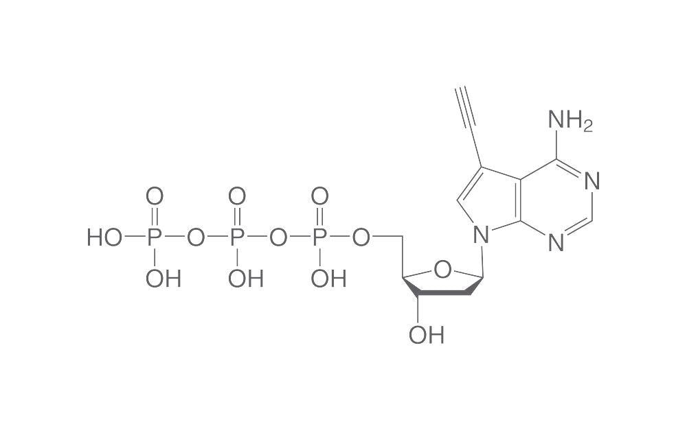 Alkyne-dATP, ≥95%, 100 µl, plastic - Luminix Health