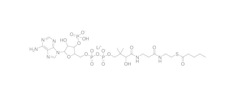 Valeryl Coenzyme A, lithium salt