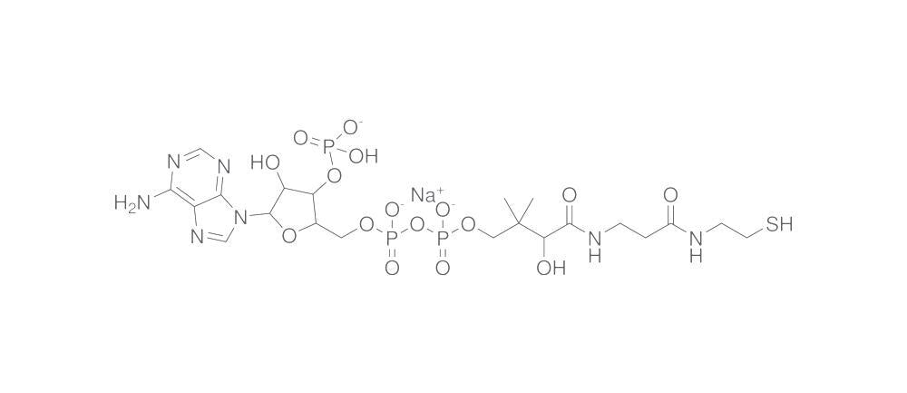 Coenzyme A, sodium salt