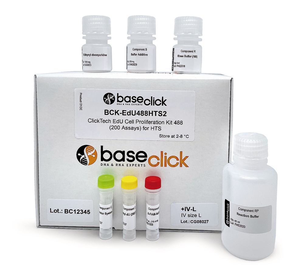 ClickTech EdU Cell Proliferation Kit 488 in vivo, L (1000 mg additional EdU) - Luminix Health