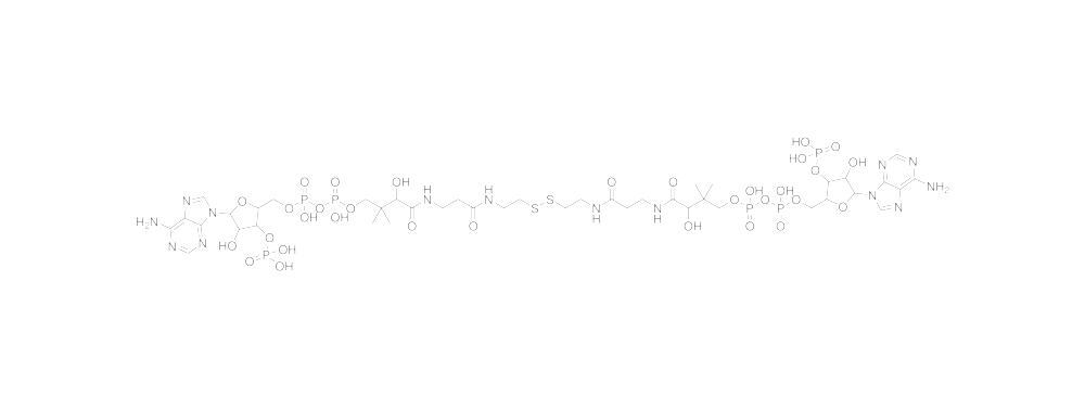 Coenzyme A oxidized, free acid