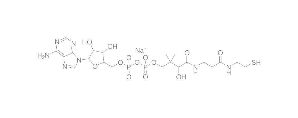 3-Dephosphocoenzyme A, Sodium Salt