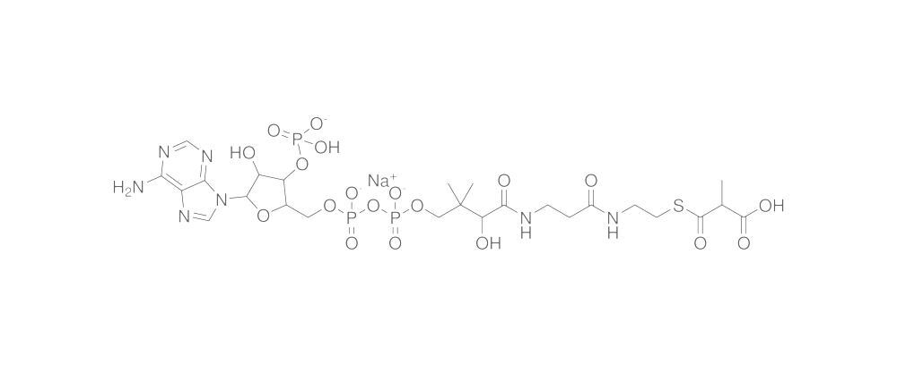 Methylmalonyl coenzyme A, sodium salt