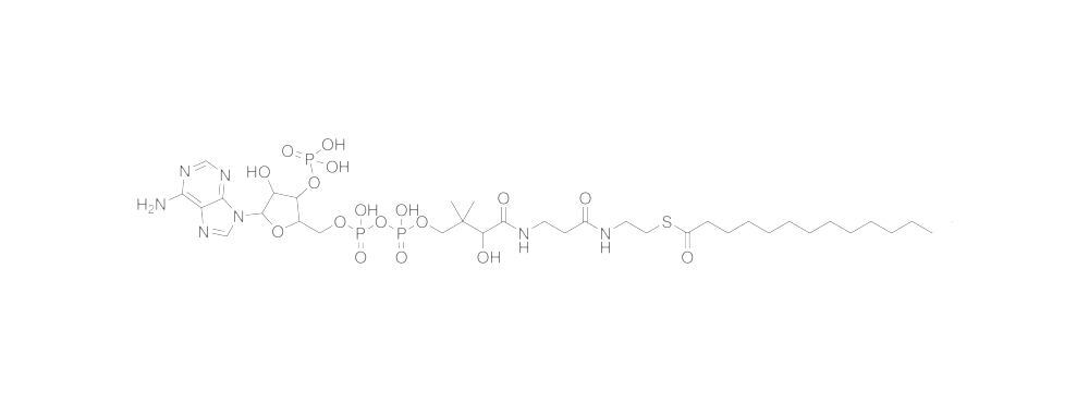 Myristoyl-Coenzyme A, Free acid