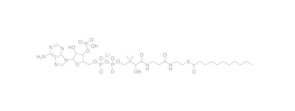 Lauroyl Coenzyme A, Lithium salt