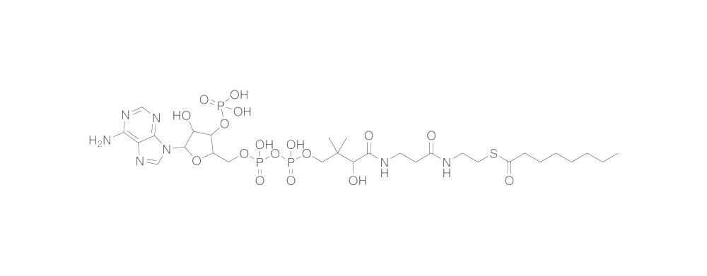 Octanoyl-coenzyme A, free acid