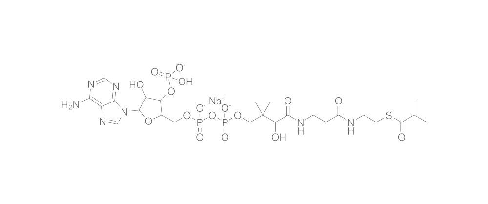 Isobutyryl Coenzyme A, Sodium salt