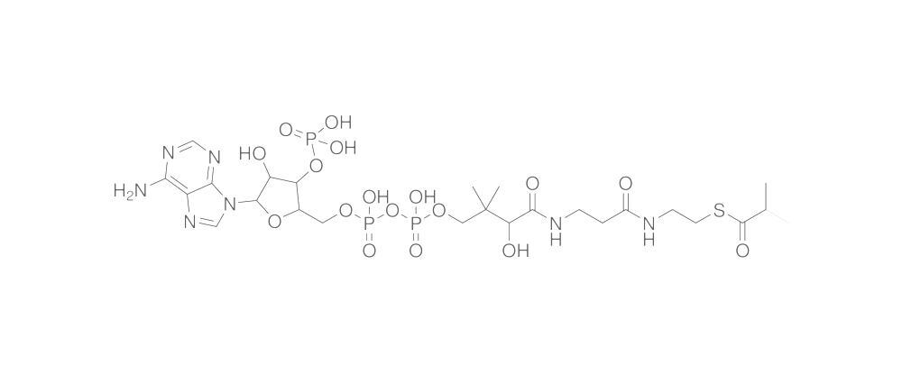 Isovaleryl Coenzyme A, Free acid