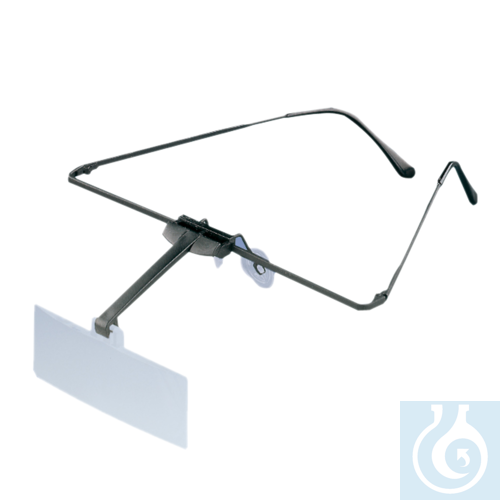 Image of Eschenbach magnifier with frame, 2x - Luminix Health