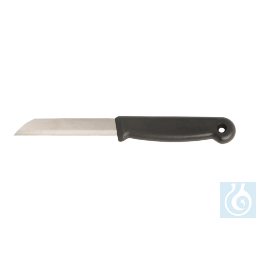 Image of neoLab® laboratory knife, straight - Luminix Health