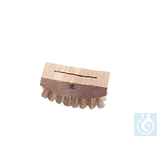 Image of neoLabLine replacement brush for 1-6011 - Luminix Health