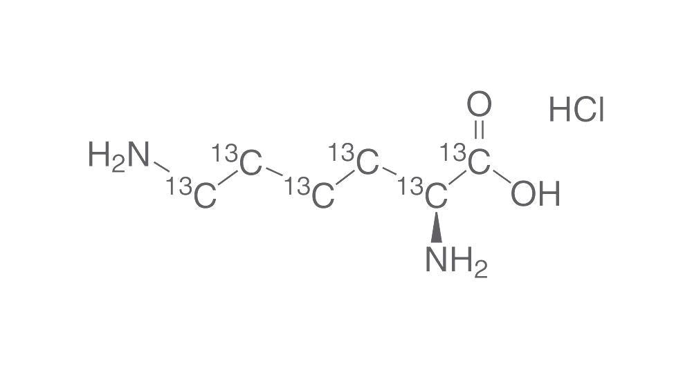 Image of L-Lysine 13C6 monohydrochloride