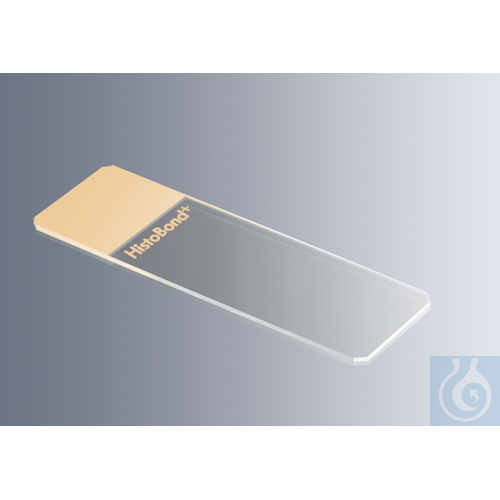 Microscope slides HistoBond&reg; + S orange, 100/box