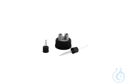 Image of Screw cap GL45 with 2 outlets - Luminix Health