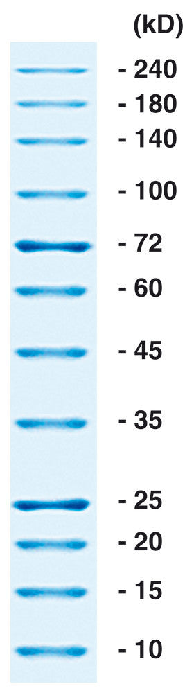 ROTI®Mark ALL BLUE, Protein marker, prestained, 250 µl, plastic - Luminix Health