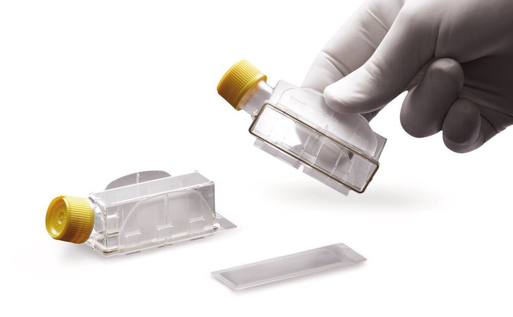 Clipmax microscopy slide cell culture bottle, 10 cm², filter cap, TPP, art. 22WC.1