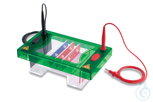 Image of EHS1200-SYS MIDI HORIZONTAL UNIT 10X7 & 10X10 CM Complete EHS1200 series - Luminix Health