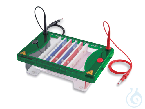 Image of EHS1300-SYS MIDIPLUS HORIZONTAL UNIT 15X7-10-15 CM Complete EHS1300 series - Luminix Health