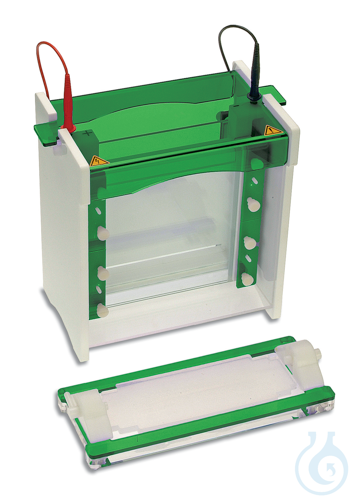 Image of GEL CASTING BASE 20 CM Accessory for EVS1300 series electrophoresis system. - Luminix Health