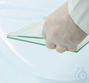 NOTCHED GLASS PLATES 20X20 CM PK/2 Accessory for EVS1300 series electrophoresis - Luminix Health