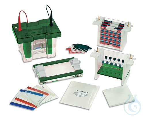 Image of EVS1200-MULTI MODULAR SYSTEM 20X10 CM These systems include all modules and - Luminix Health