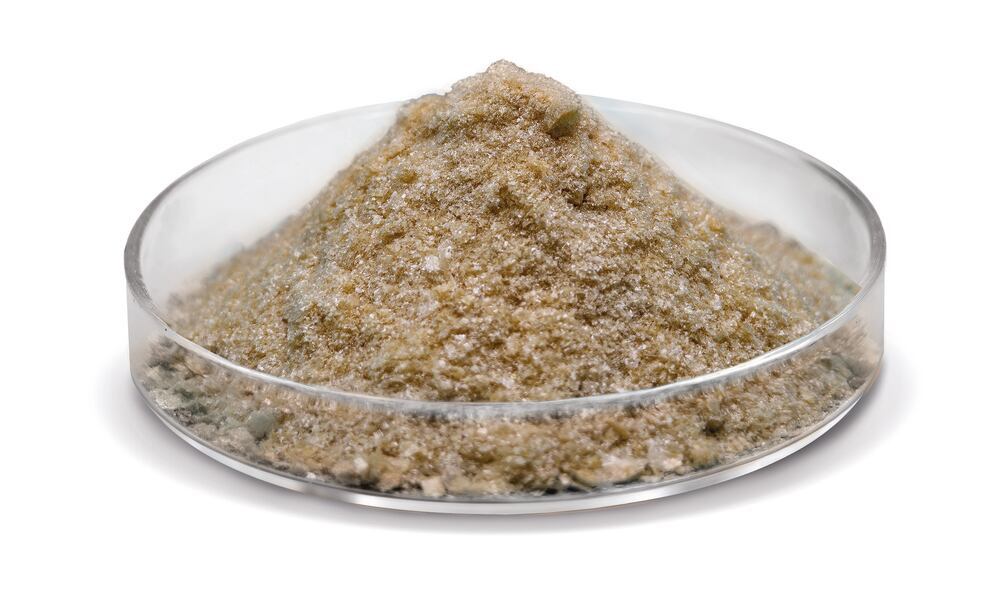 Elastin hydrolysate >90%, CELLPURE, 9-10 kDa, 1 g