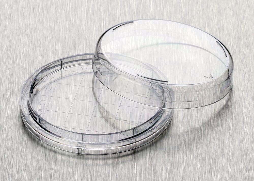 Contact dishes Ø 65 x H 15 mm, sterile, without vents, domed base