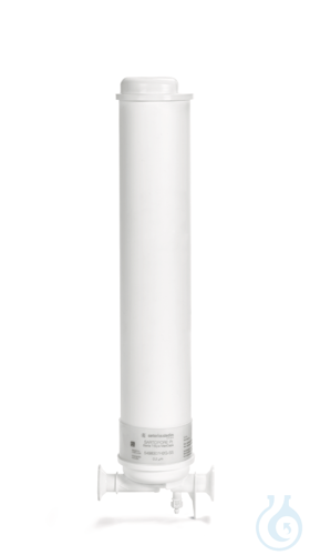 Sartopure PP3 T-Style Caps, 1.2µm, 20'', 5058303P2--SS - Luminix Health