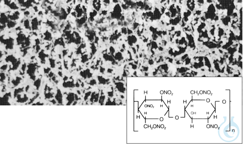 CN membrane, 0.45 µm, 110 mm, 100 pcs., Cellulose Nitrate (Mixed Cellulose Est - Luminix Health