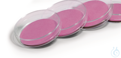 Image of Endo NPS & gridded MF, 0.45µm High Flow, Endo NPS & gridded MF, 0.45µm - Luminix Health