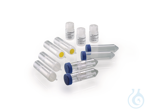 Image of Vivapure AdenoPACK 20 RT, Vivapure® AdenoPACK™ 20 RT - Luminix Health