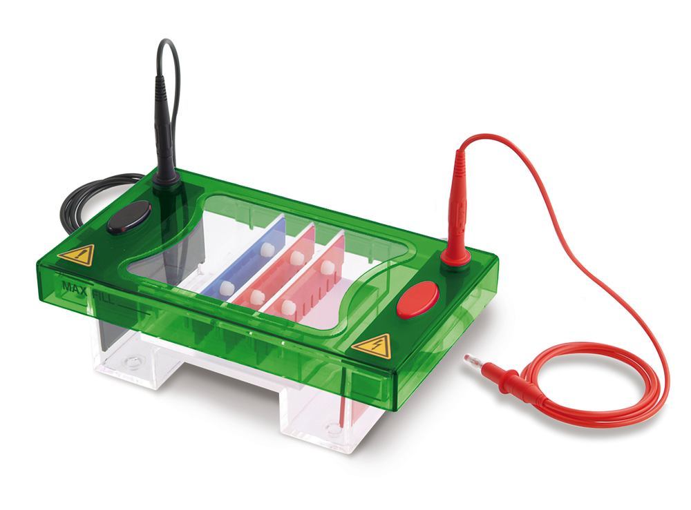 ROTIPHORESE® Unit PROfessional II, complete set, gel size 10 x 10 cm, 1 unit(s) - Luminix Health