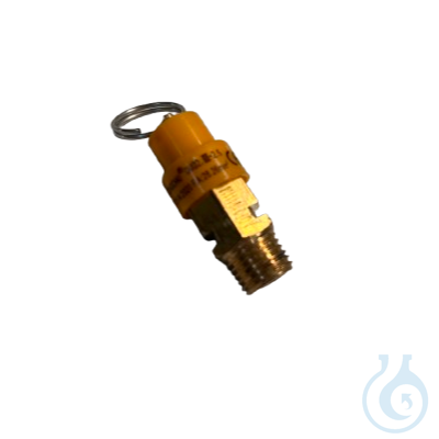 Image of Safety valve, Suitable for models VacPro 12 and VacPro 22. - Luminix Health