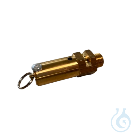 Image of Safety valve, Suitable for the model icanCLAVE STE-45-T. - Luminix Health