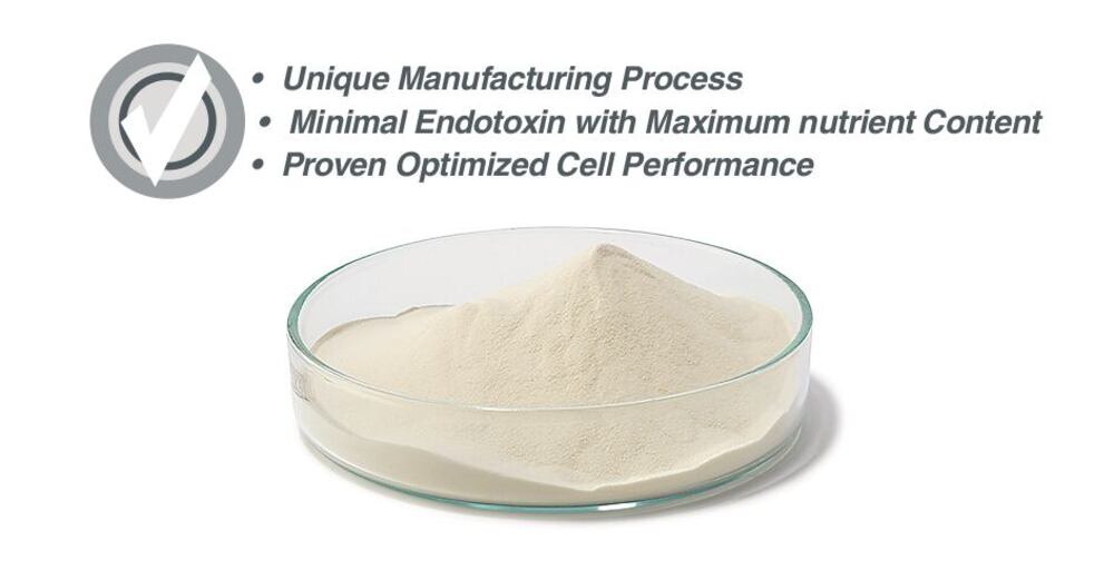 Wheat Peptone (animal-free / GMO-free), CELLPURE, for cell culture, 200 g