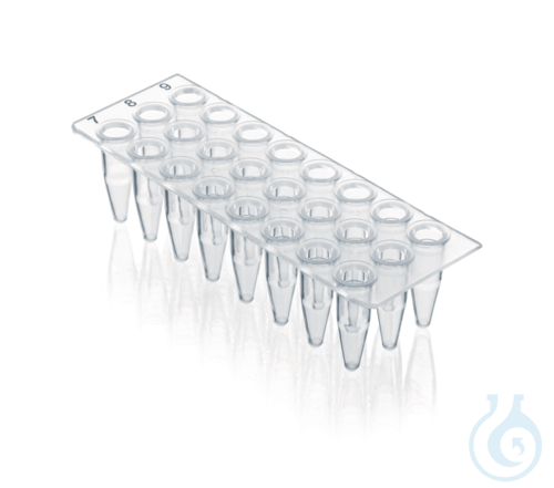 Image of 24-well PCR plate, thin-walled, flexible, 0,2 ml, no skirt elev.wells f.qPCR 40