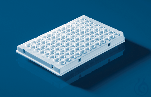 96-well PCR plate, white, for qPCR, Low Profile f.LightCycler 50 pc. - Luminix Health