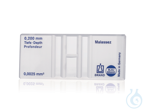 Counting chamber BLAUBRAND Malassez, without spring clips, double ruling - Luminix Health