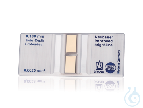 Image of Count. chamber BB Neubauer improved, w/o spring clips, double rul.bright-line - Luminix Health