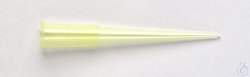 QSP Filter and Non-Filtered Pipette Tips